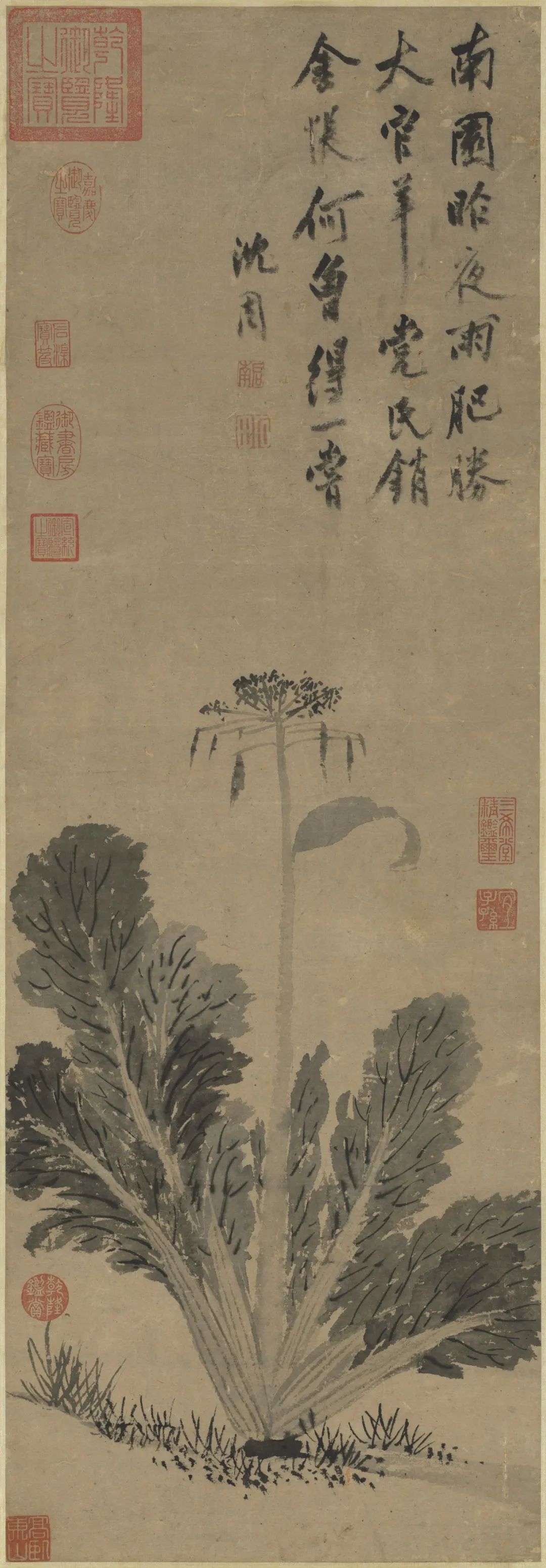 慕容看世界的视频,慕容看世界所有视频