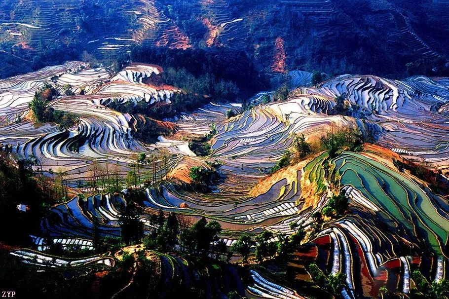 中国人文摄影获奖作品,大美中国摄影作品展获奖