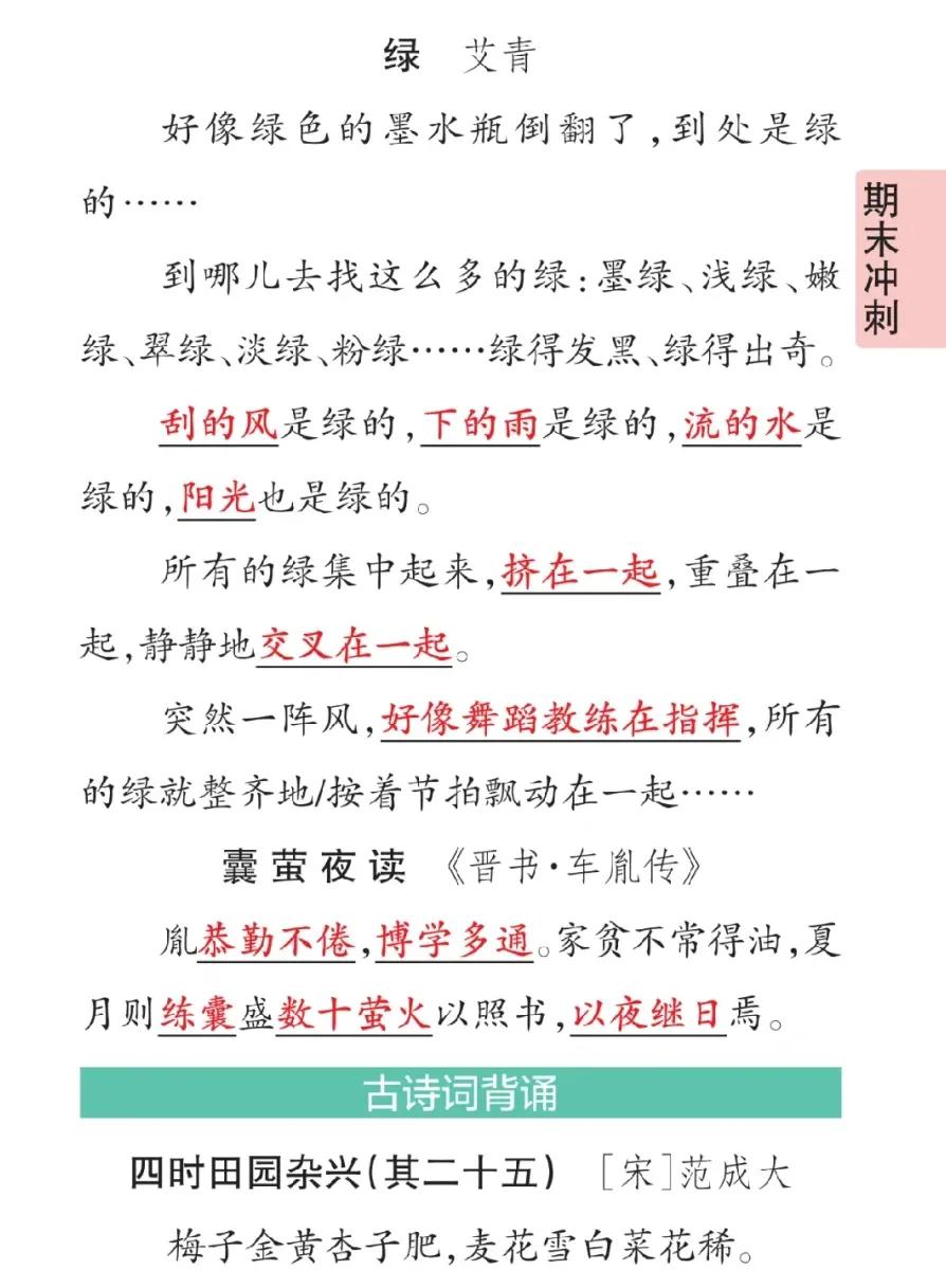 四年级上册语文期末考点梳理,四年级下册语文期末复习重点必考