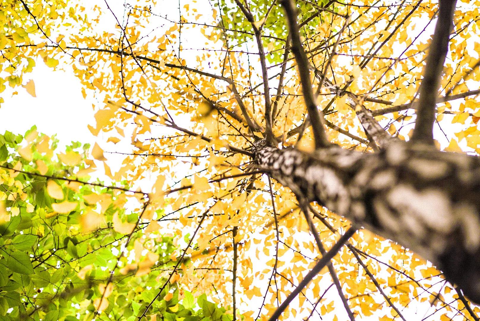 被迫加班,被迫加班的人