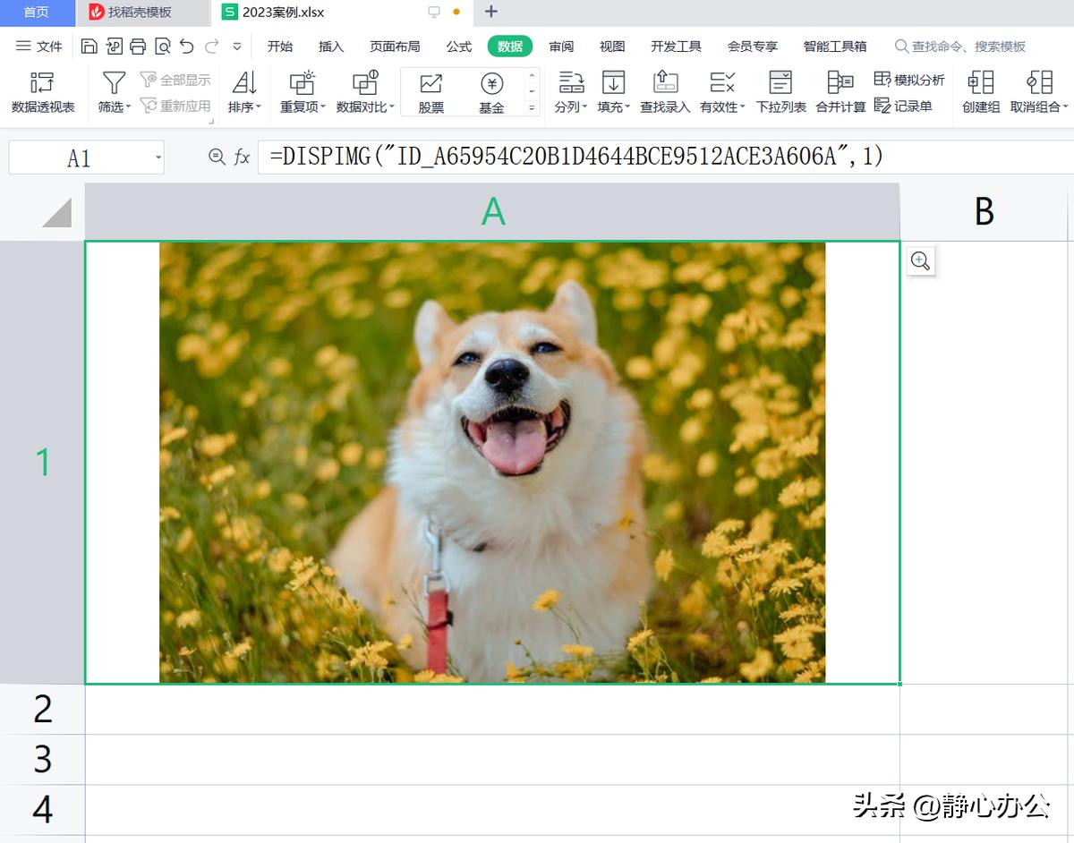 wps表格中怎样将图片嵌入单元格中,wpsexcel如何把图片嵌入单元格