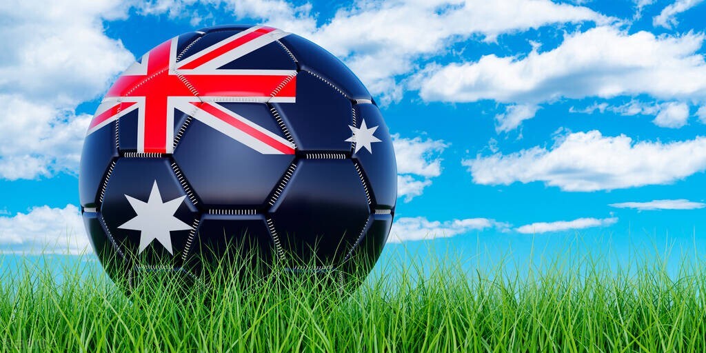 卡塔尔世界杯有哪些亚洲国家参加,卡塔尔世界杯有哪些国家参加比赛