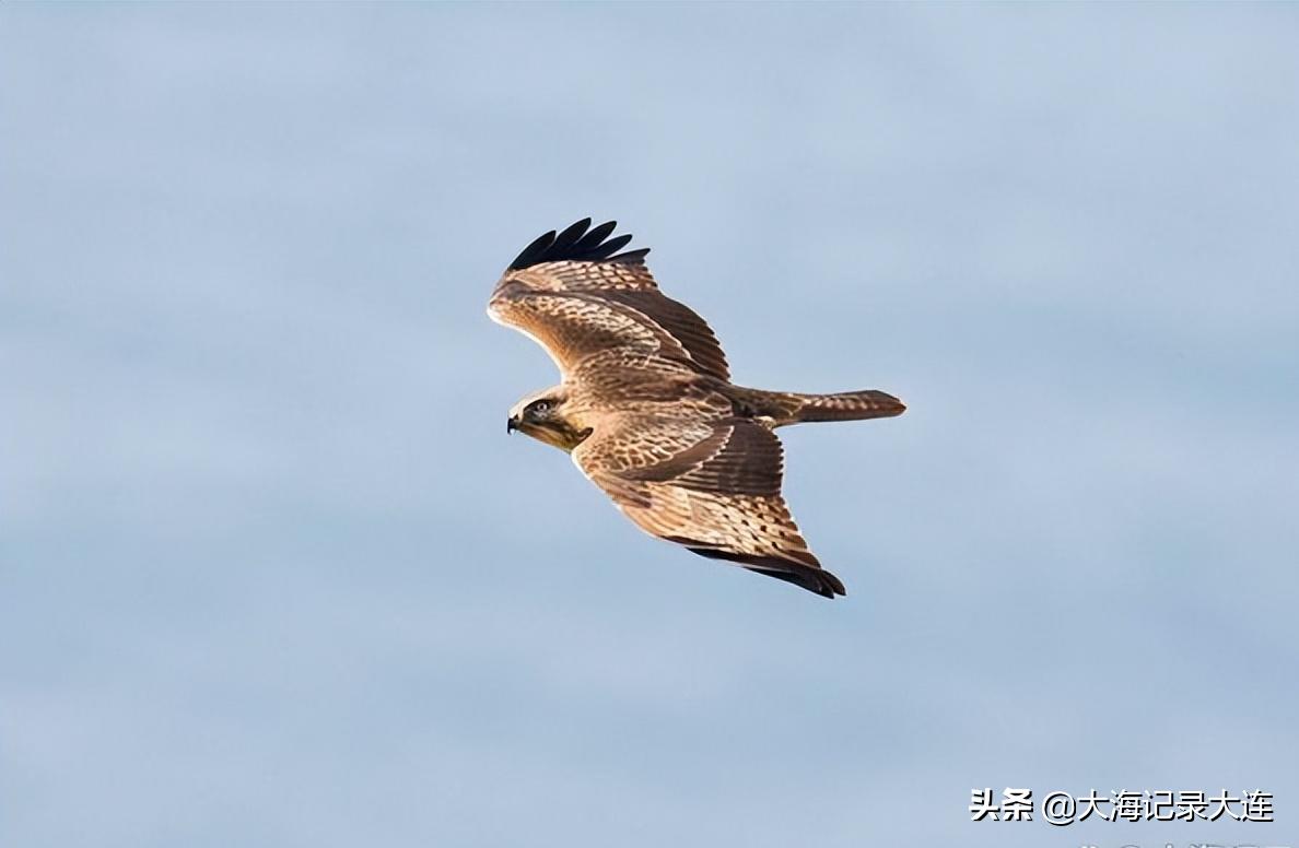 温泉旅顺老铁山,大连老铁山温泉攻略