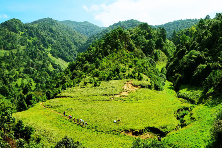 攀枝花领地阳光花城,攀枝花普达阳光康养胜地