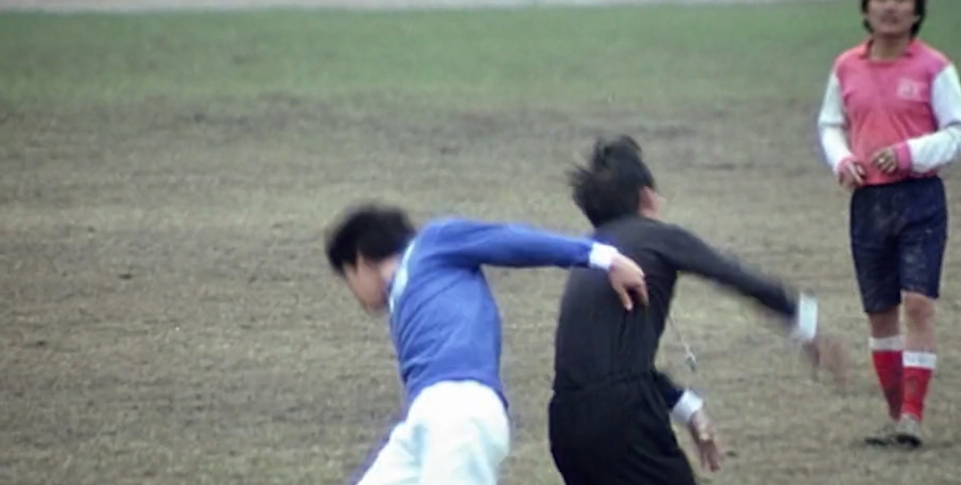 赶鸭子的小伙子,赶鸭的小伙