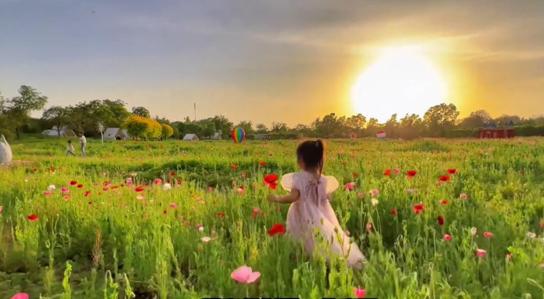 郑州周边网红打卡游玩攻略,适合孩子玩的郑州网红景点打卡地