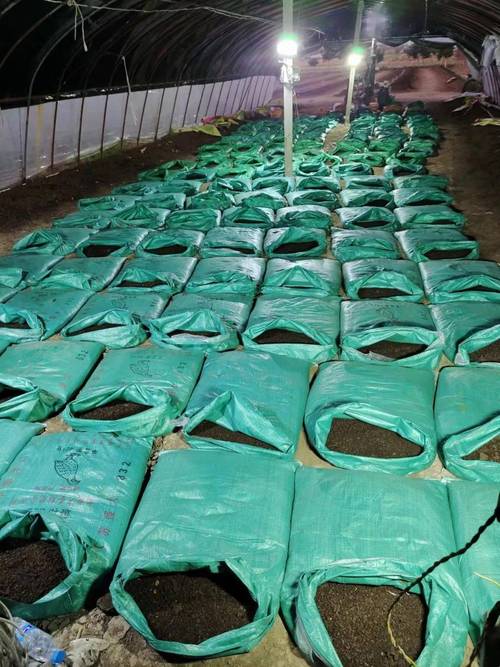 禽畜粪便环保处理,畜禽粪便处理循环利用利弊