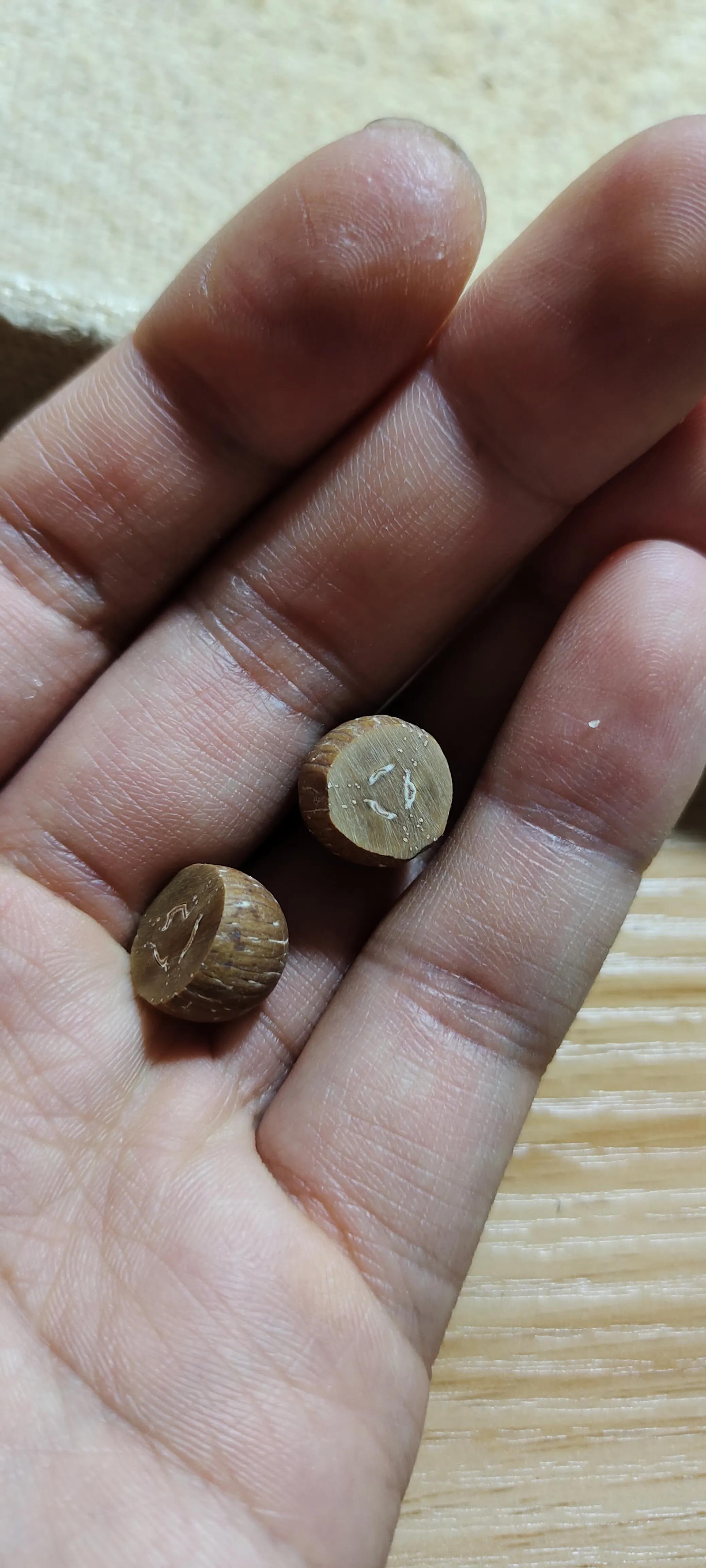 紫金鼠菩提子怎么玩,紫金鼠菩提子的寓意