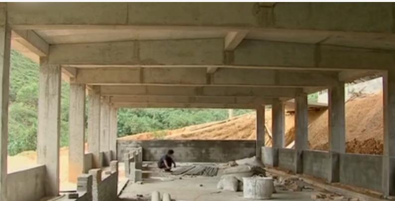 广西小伙养草鱼卖400,5亩养殖草鱼一年能赚500万