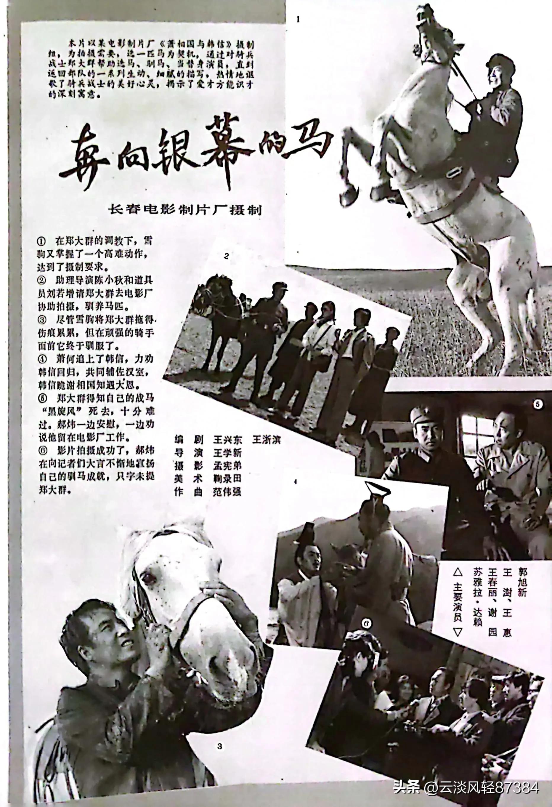 大众电影免费在线观看,大众电影名