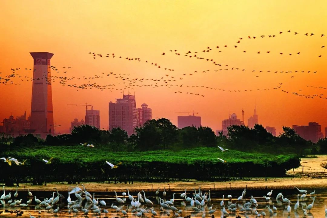 深圳福田区重点项目名单,福田区高质量发展十大行动