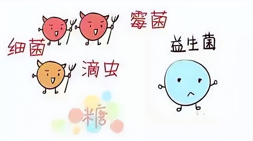 霉菌性阴道炎的症状与预防,霉菌性阴道炎的症状和注意事项