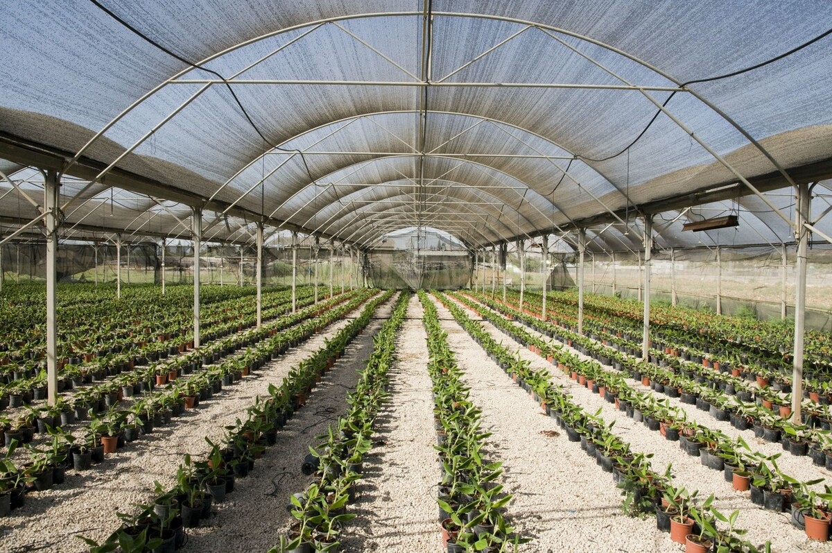 亚洲各国面积排名列表,亚洲48个国家经济排名