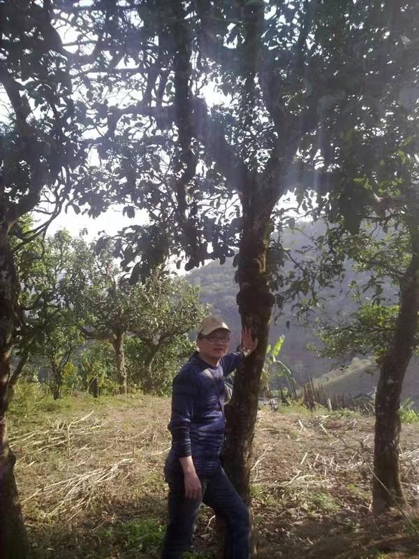 修享茶业钟海勇：以茶行修，打造中国茶文化的独特品牌之路