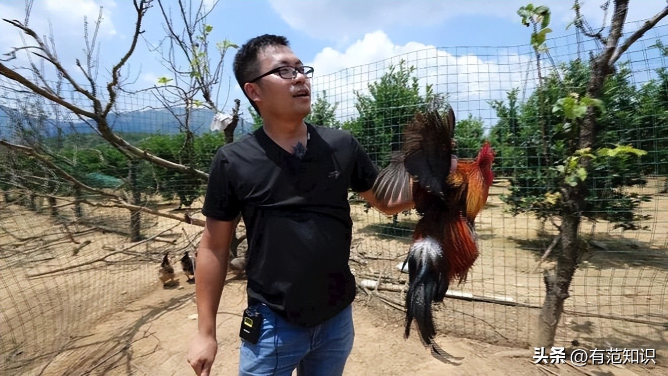 中科院博士裸辞,中科院博士谈裸辞开民宿