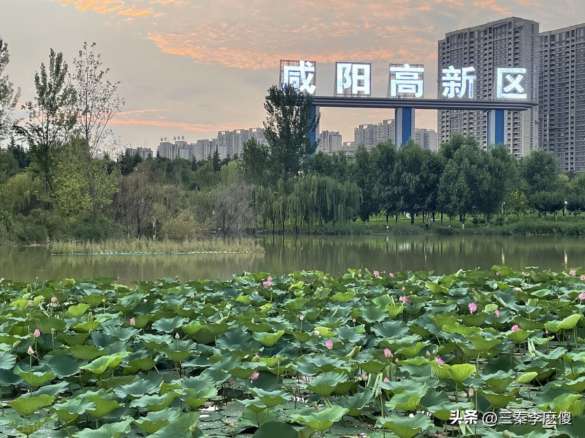 咸阳十大公园,咸阳市都有哪些公园