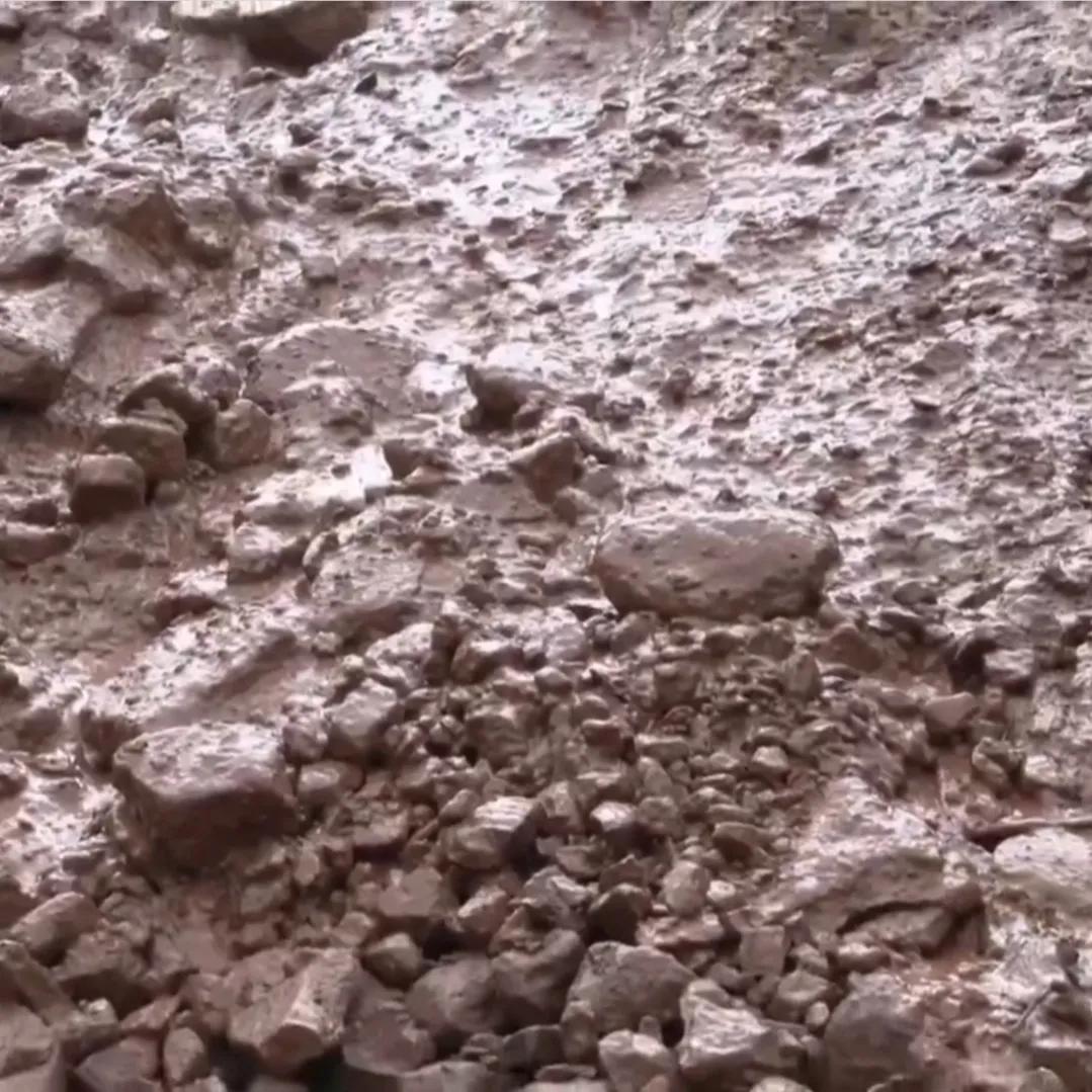 女人承包500亩荒山,女子承包50亩山地