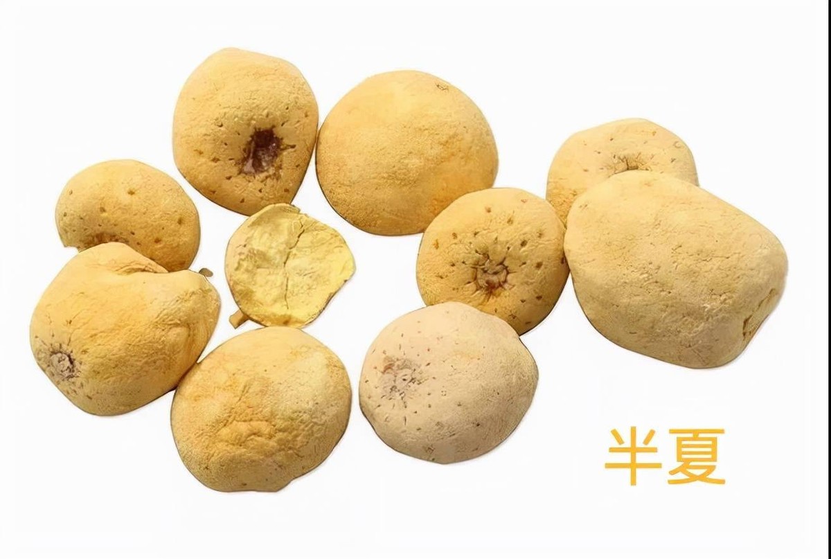 胆汁反流性胃炎的中药验方,胆切除胆汁反流性胃炎中医疗法