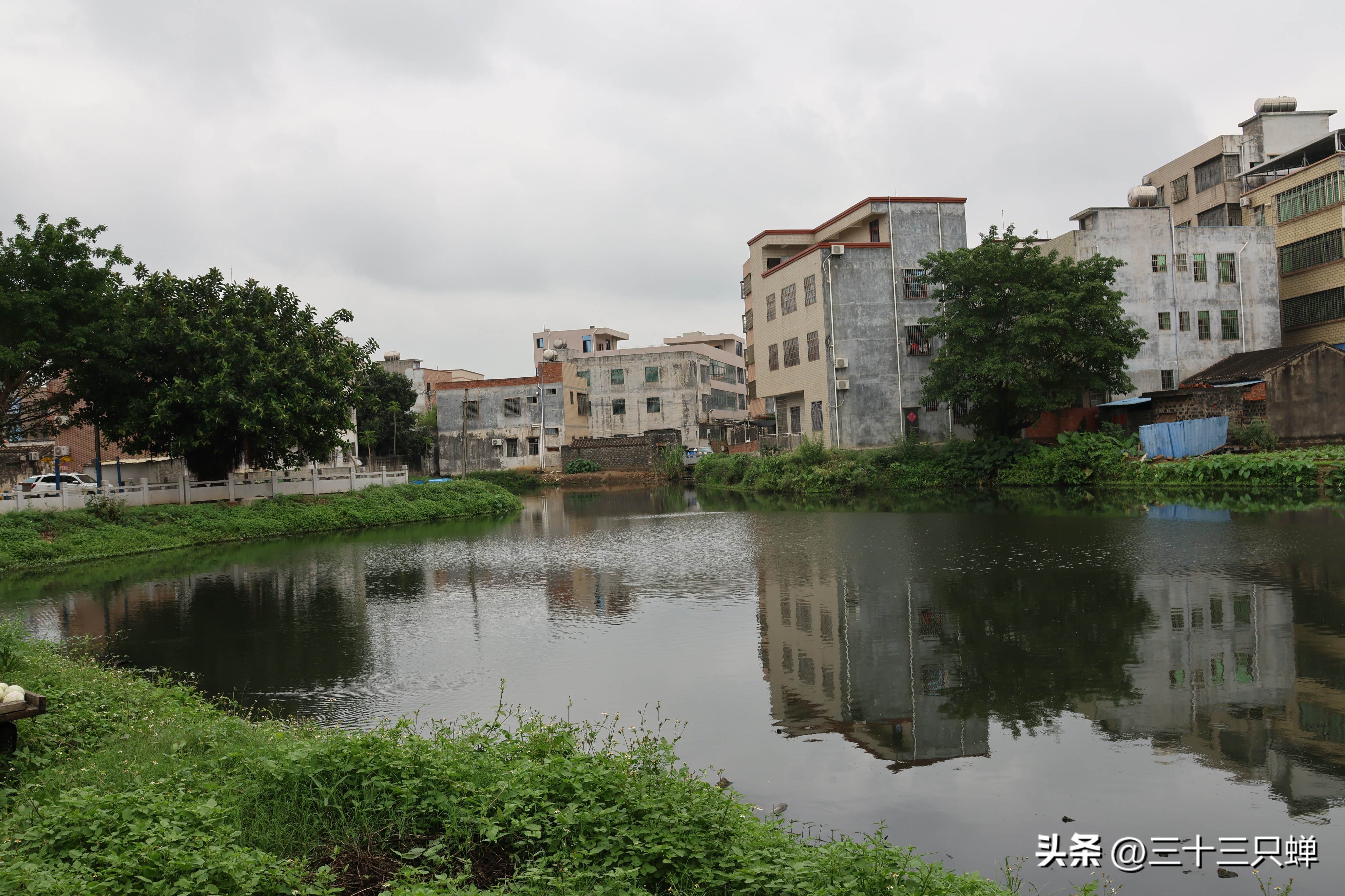 海口王氏宗祠在哪里,海口长流堂善村的人