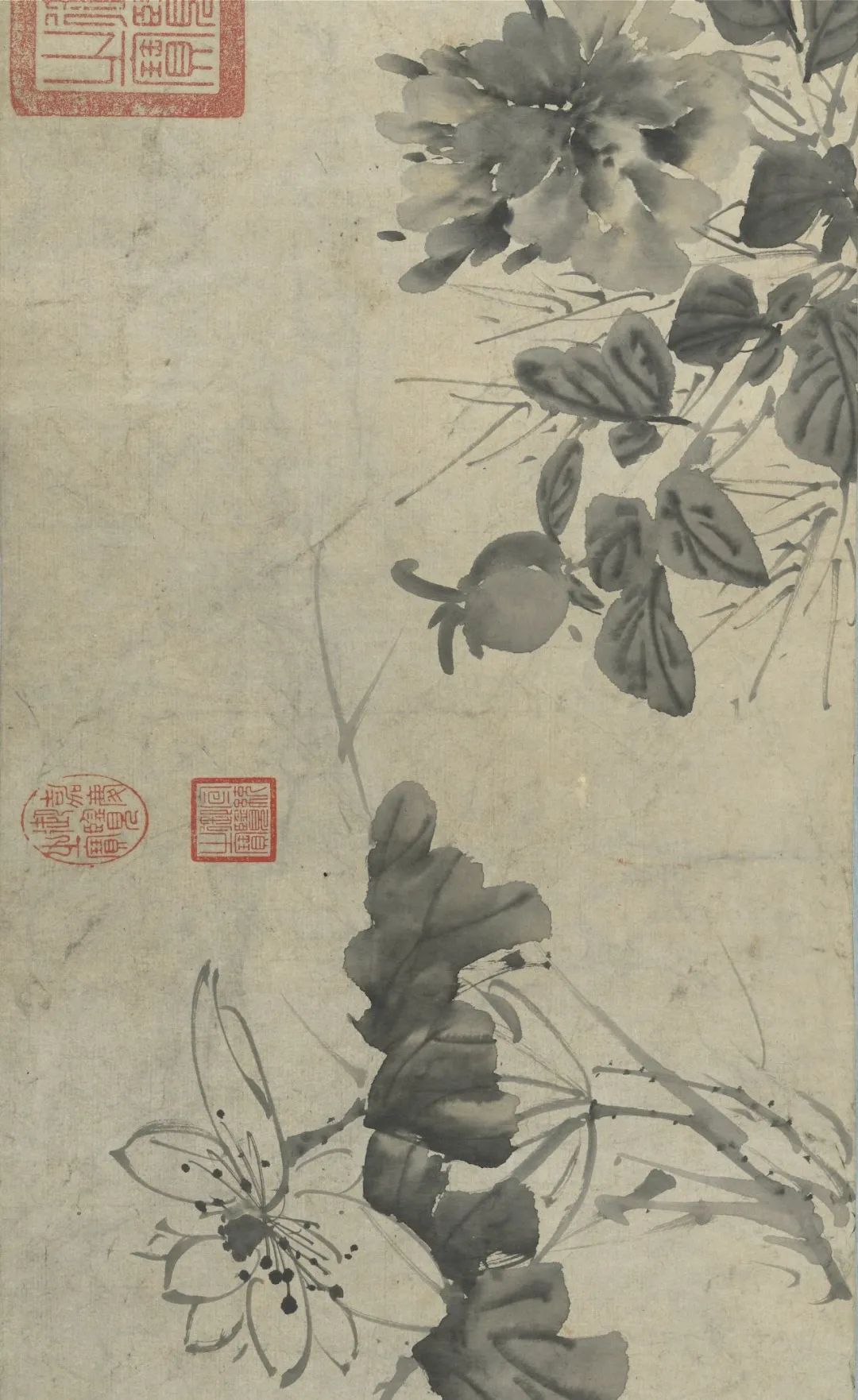 慕容看世界的视频,慕容看世界所有视频