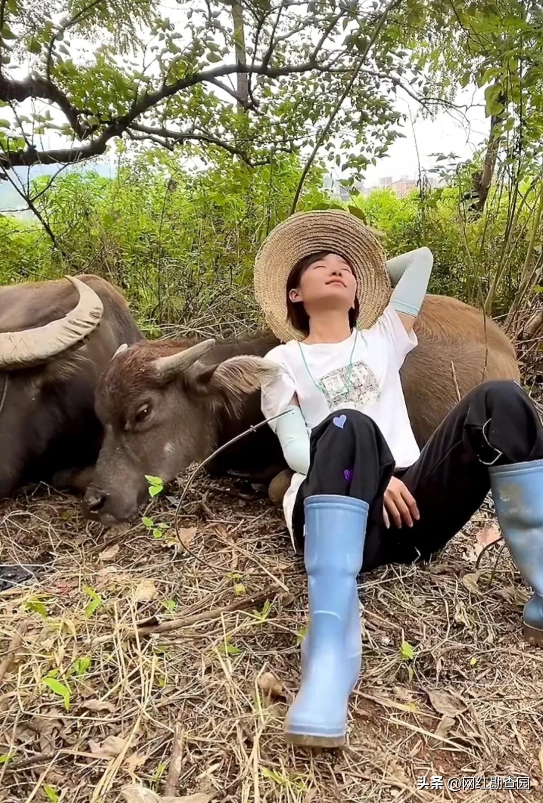 90后女孩把牛当宠物养，她对牛弹琴，网友送外号：牛郎织女