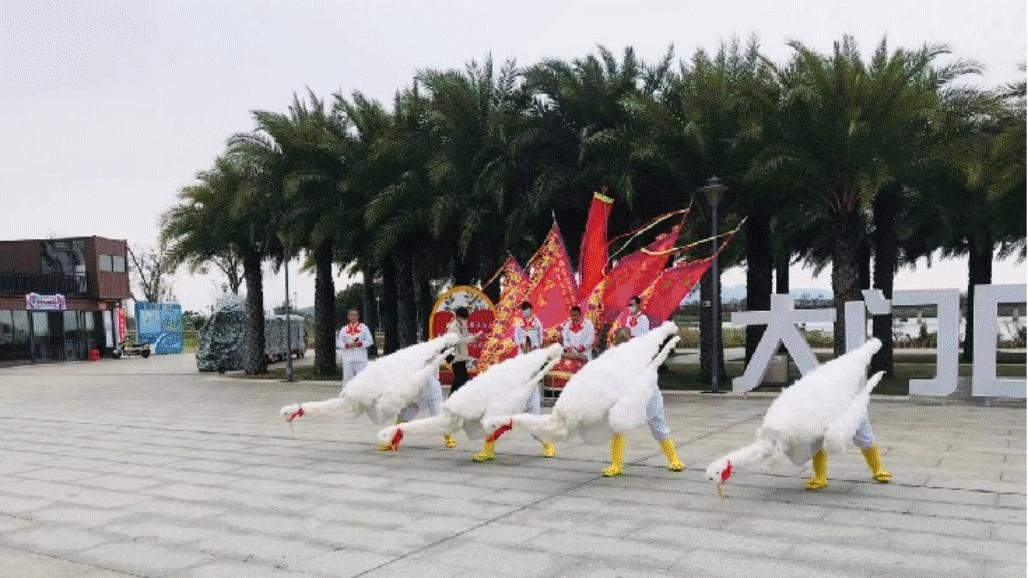 划艇露营,划艇露营视频大全