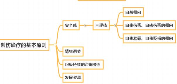 徐凯文的心理创伤课读后感,徐凯文心理咨询与治疗
