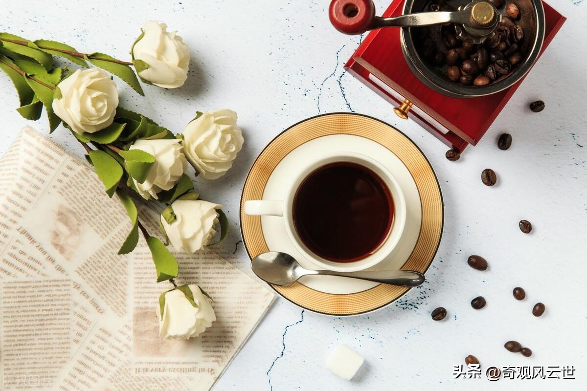 咖啡店加盟哪个比较实惠,小型咖啡店加盟连锁品牌