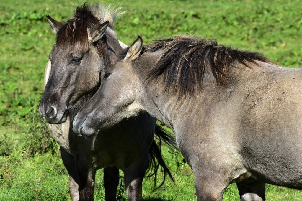 在澳门赚了1亿后的待遇,在澳门赚了5000万有什么待遇
