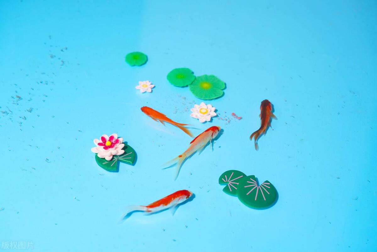 6-12岁儿童看的动画片国产免费,适合儿童看的十部电影动画片国产