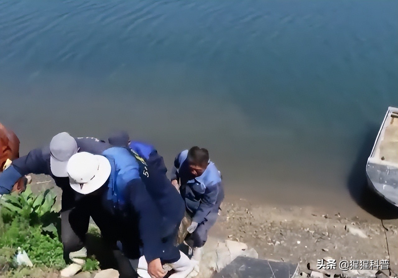 女孩放弃海外250万年薪回国创业,辽宁女孩创业