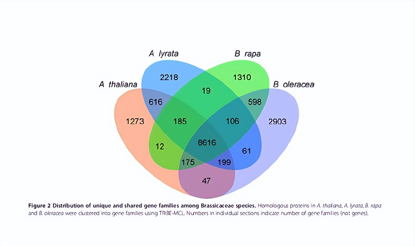 dna甲基化防癌检测的卖点,dna甲基化利器