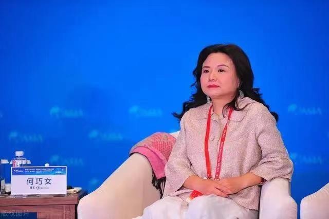 东方园林董事长何巧女经历了什么,园林何巧女