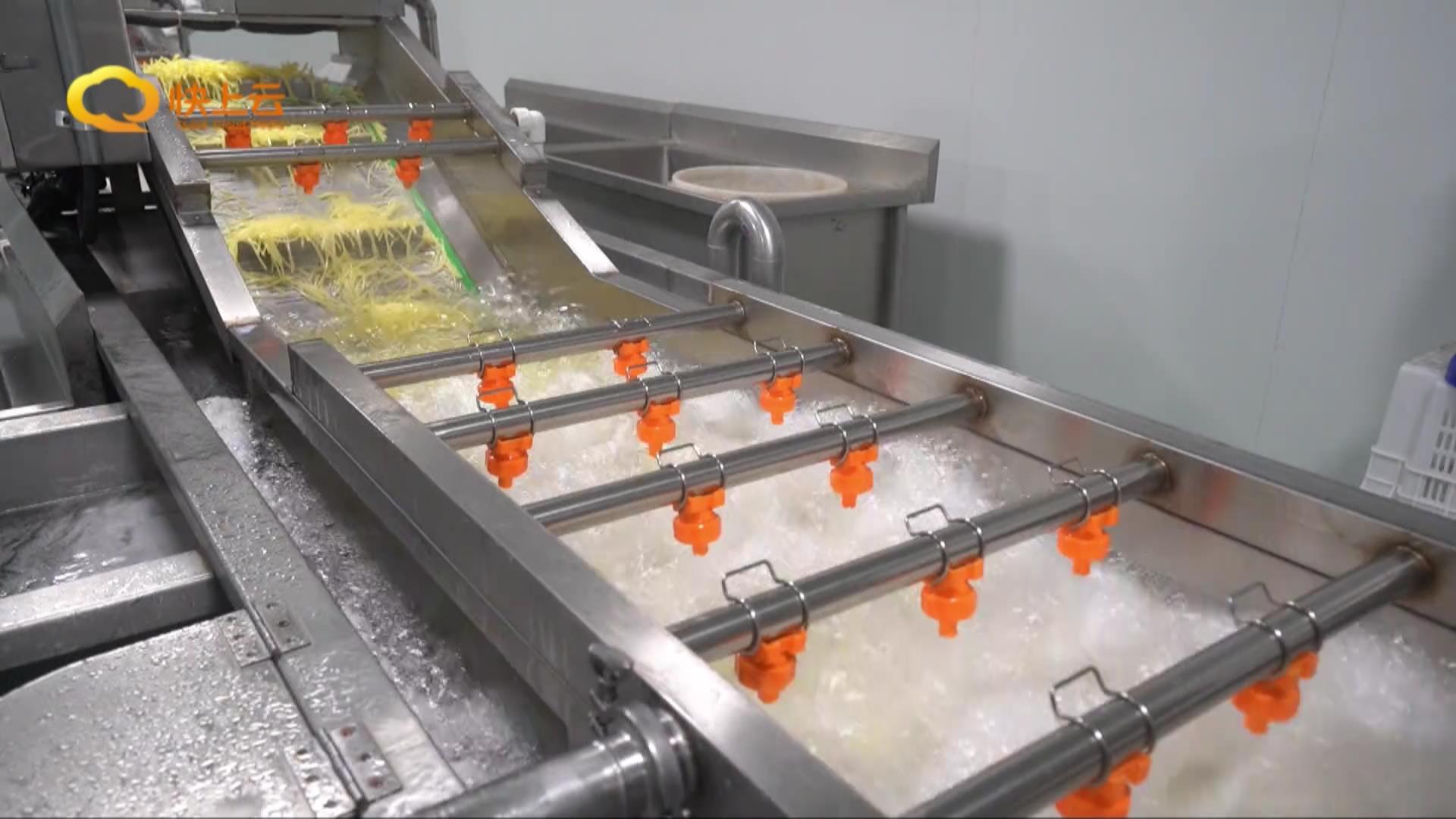 打造农业全产业链要做到什么,打造现代全产业链订单农业