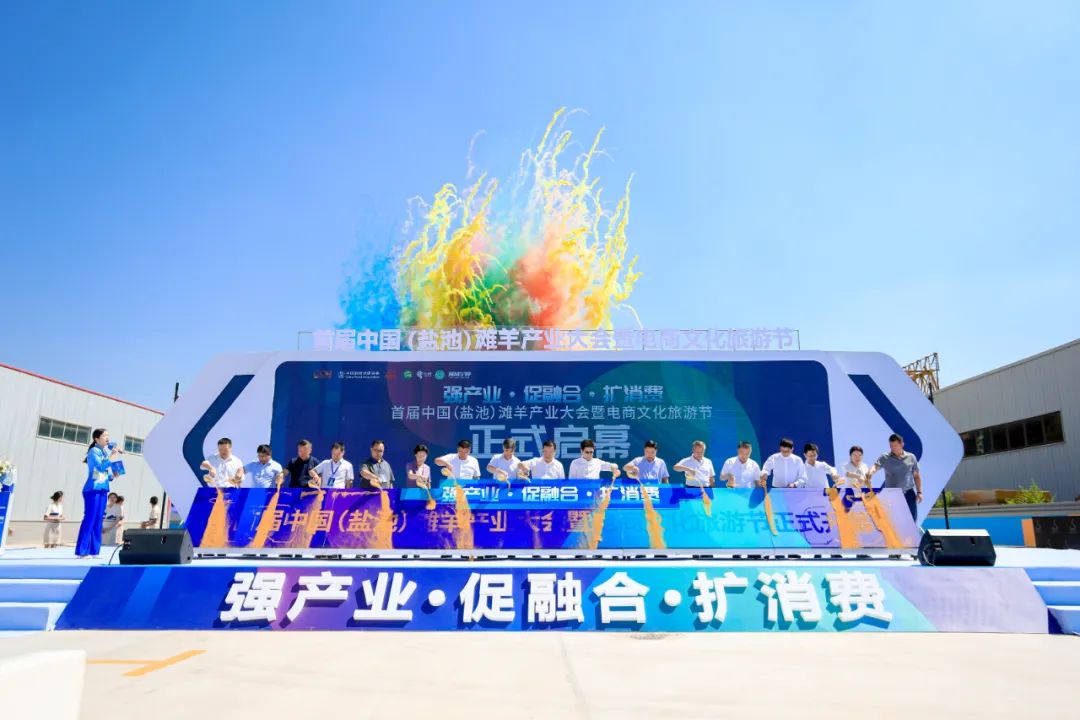 盐池滩羊清炖羊肉做法,苏尼特羊肉和盐池滩羊