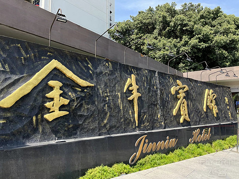 鍒濆涔嬫梾榛勯噾娴峰哺,鍒濆涔嬫梾