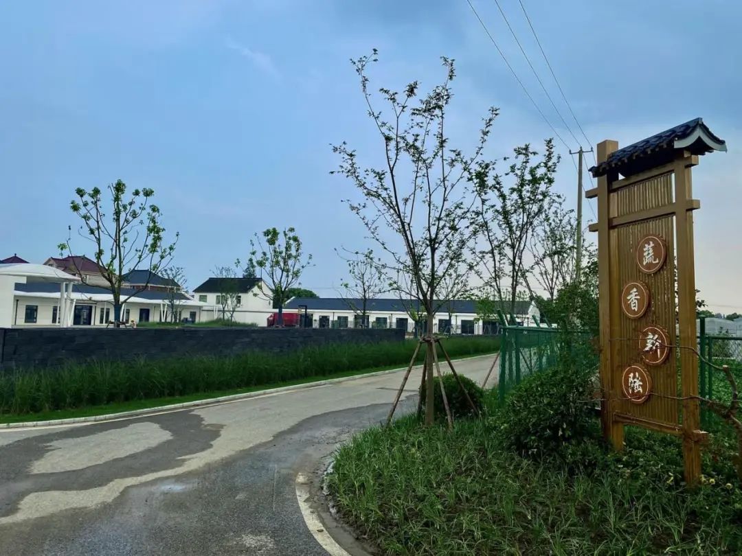 上海市首批市级旅游重点村,上海第四批全国乡村旅游重点村