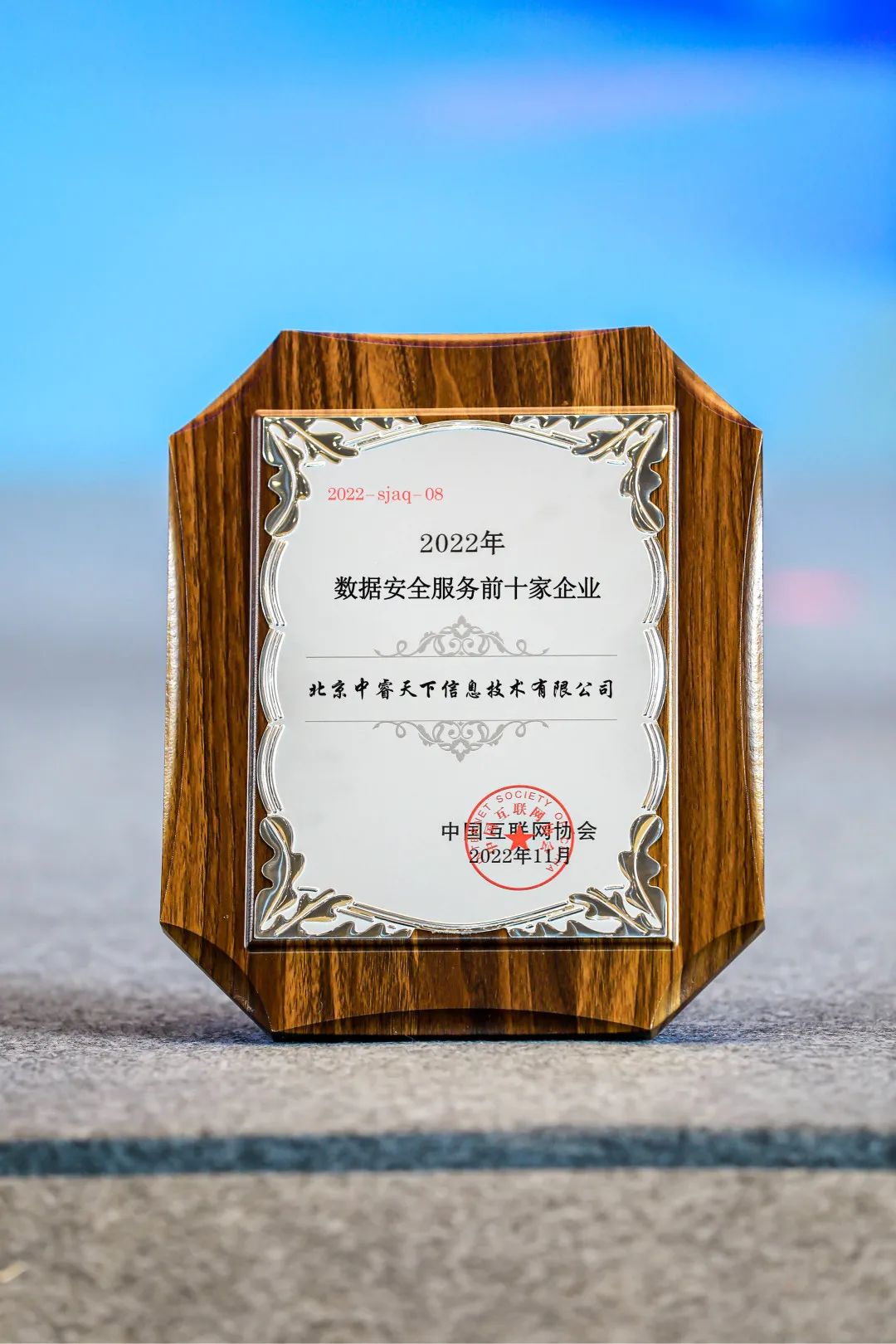 数据安全十大排名,中睿天下