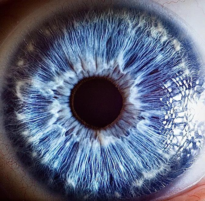 显微镜下的十大生物,显微镜下看到的各种不同样的生物