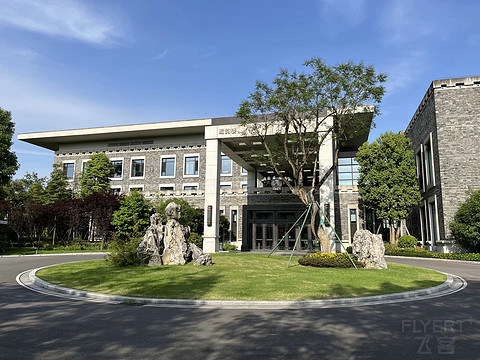 鍒濆涔嬫梾榛勯噾娴峰哺,鍒濆涔嬫梾