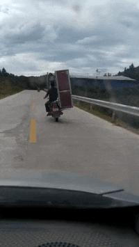 成吉思汗为什么能打到了欧洲,成吉思汗打到欧洲为什么不打下去