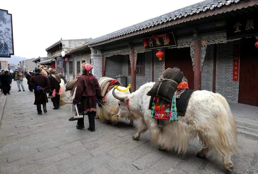 大美青海旅游胜地,大美青海旅游胜地活动