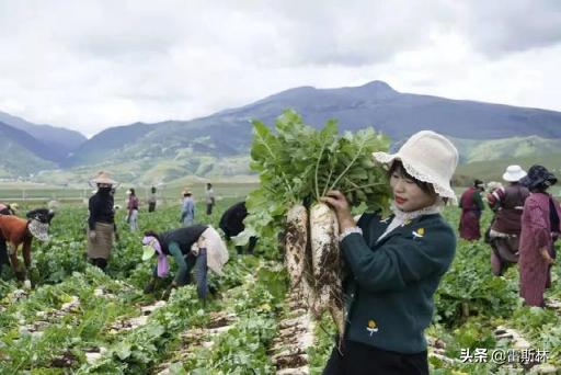 别在我的世界里指手画脚,别对别人指手画脚的视频