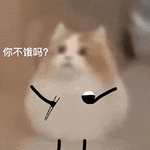 汉堡王中国汉堡,汉堡王最近推出的汉堡