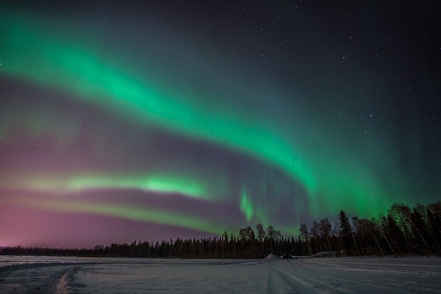天空的奇迹这本书的作者,天空的奇迹