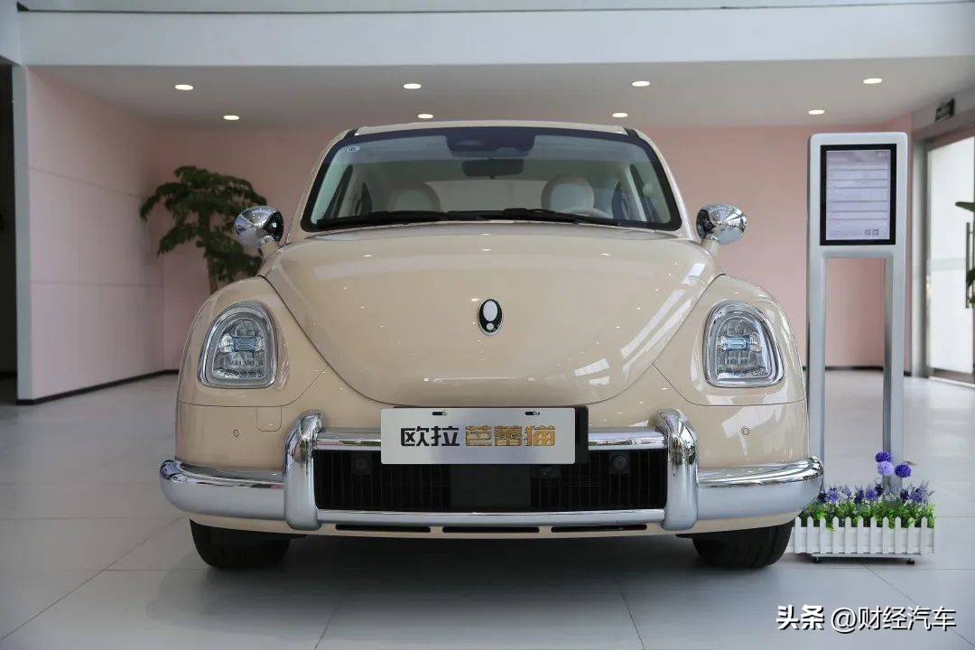 被割韭菜的欧拉车主,欧拉猫割韭菜