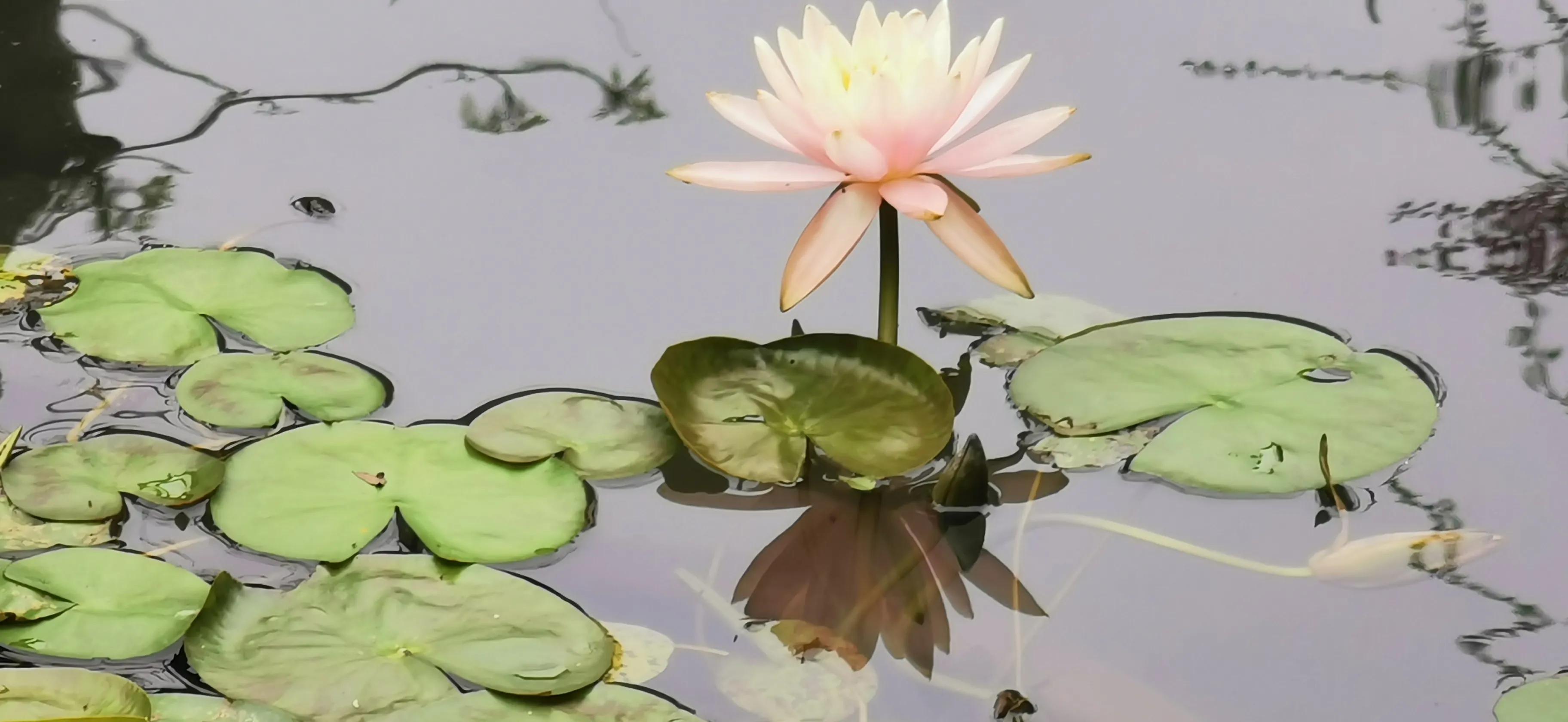 东莞出发自驾游2天游攻略,东莞出发三天自驾游最全攻略