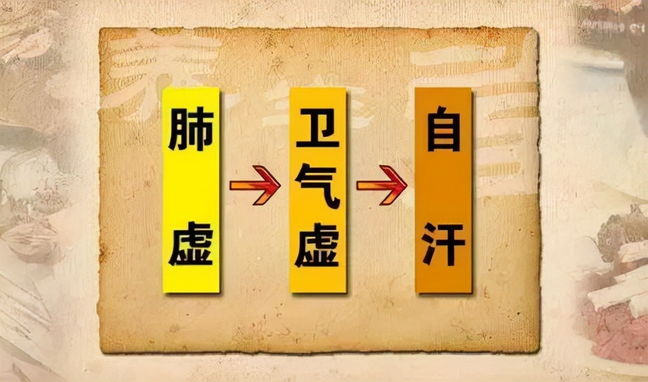 肺气虚脾气虚的体质要怎么调理,肺气不足气血虚怎么调理