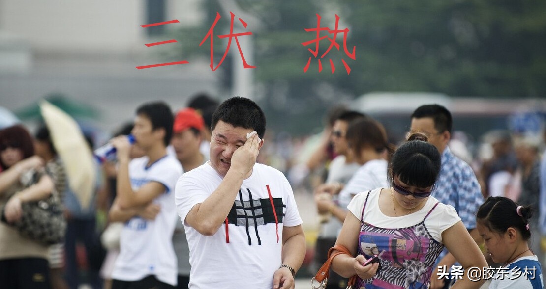 今年三伏天将长达40天,今年三伏长达40天具体时间如下