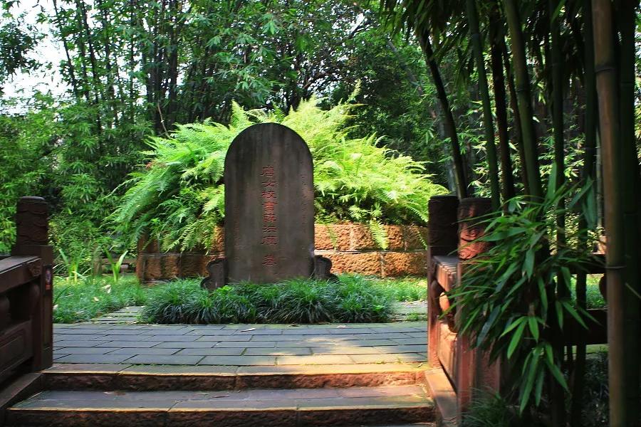 坟前长竹意味着什么预兆,为什么坟前长竹需迁坟